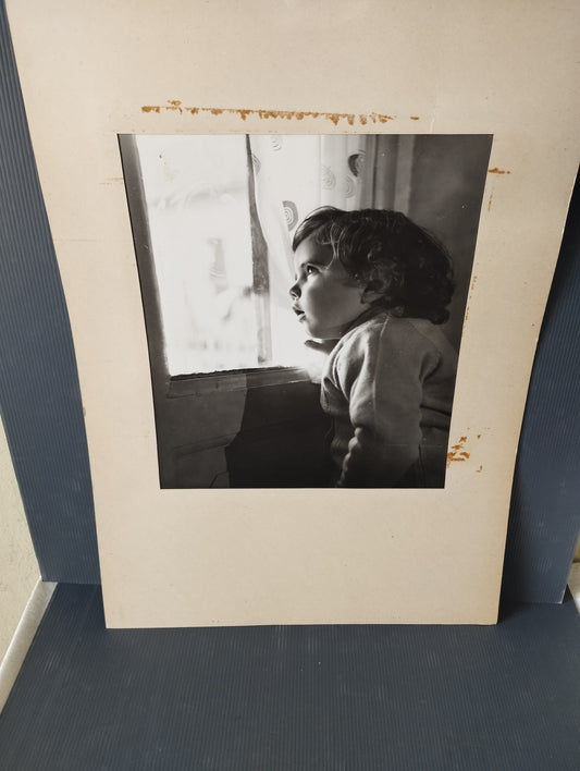 Fotografia "Osservando" Dante Dalla Rosa Anni 50