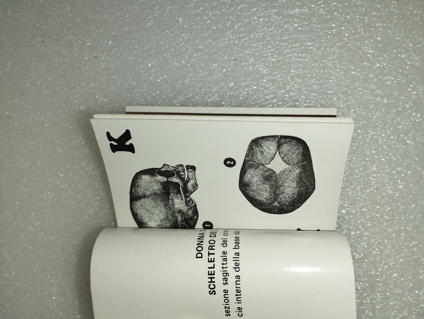 Carte Da Gioco Osteologiche
Edizioni Libreria dello Studente di Franco Lucisano