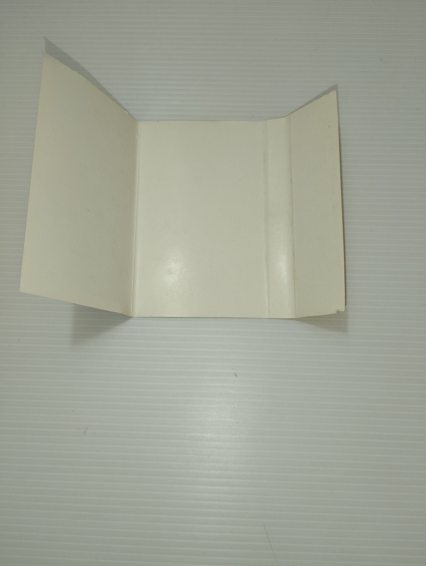 The Discourses Mina Musicassetta