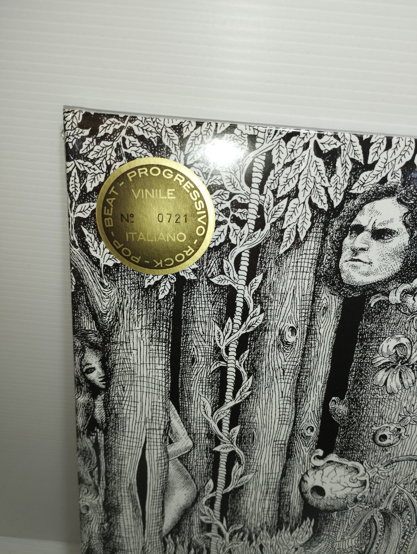 La Foresta I Leoni LP 33 Giri
Edito nel 2009 da Sony Music
Edizione numerata