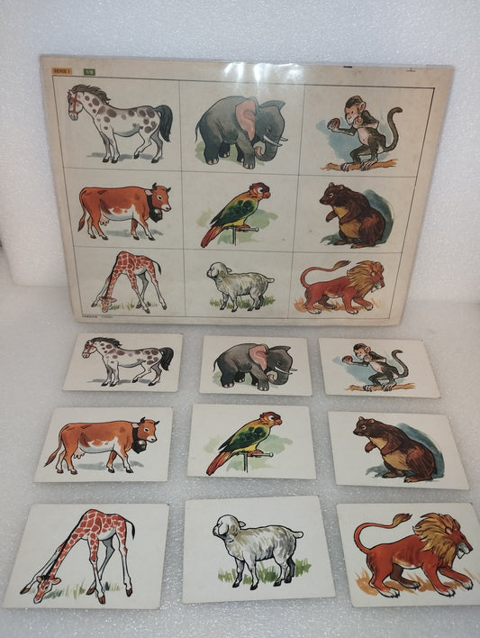 Tavola Didattica Paravia Torino
Serie I. 1/B
Originale Anni 60