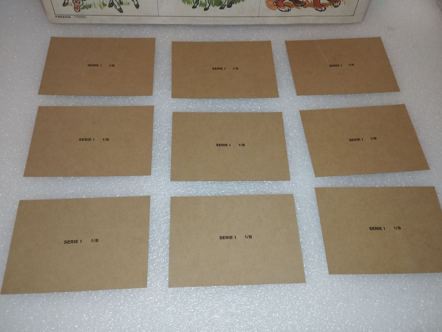 Tavola Didattica Paravia Torino
Serie I. 1/B
Originale Anni 60