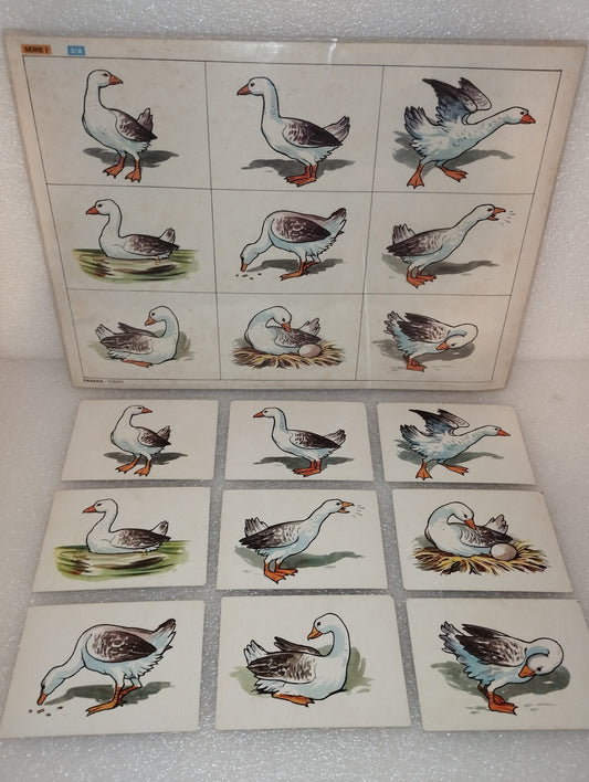 Tavola Didattica Paravia Torino
Serie I 3/A
Originale Anni 60