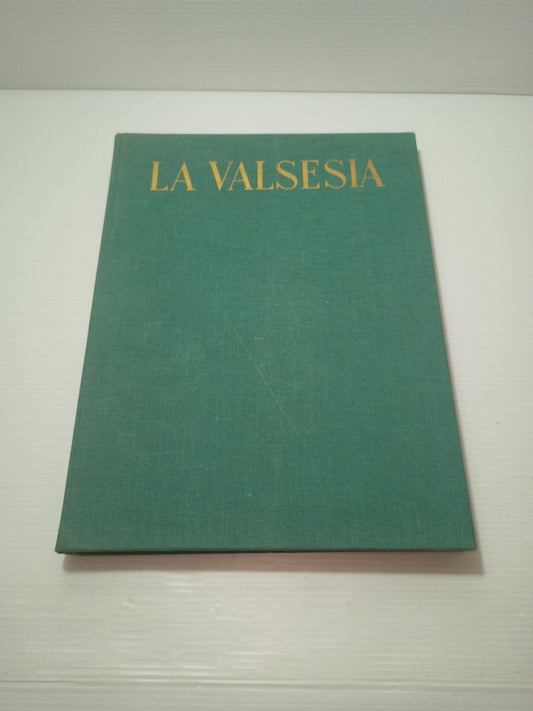La Valsesia Arte,Natura E Civilta' M.Bonfantini Edizione Limitata a 2500 esemplari
In vendita il n.64