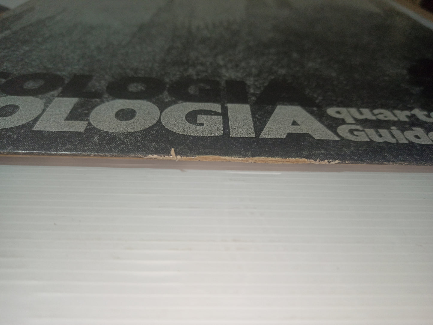 Ecologia Quartetto Di Guido Mazzon LP 33 Giri
Edito nel 1976 da ECP Cod.LP004