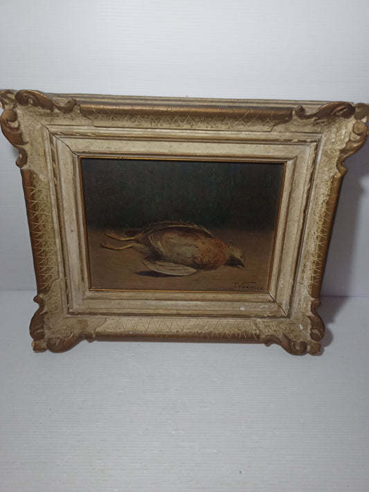 Natura Morta Francesco Vertice
Titolo opera: Quaglia
Misure quadro 36 x 31 cm circa