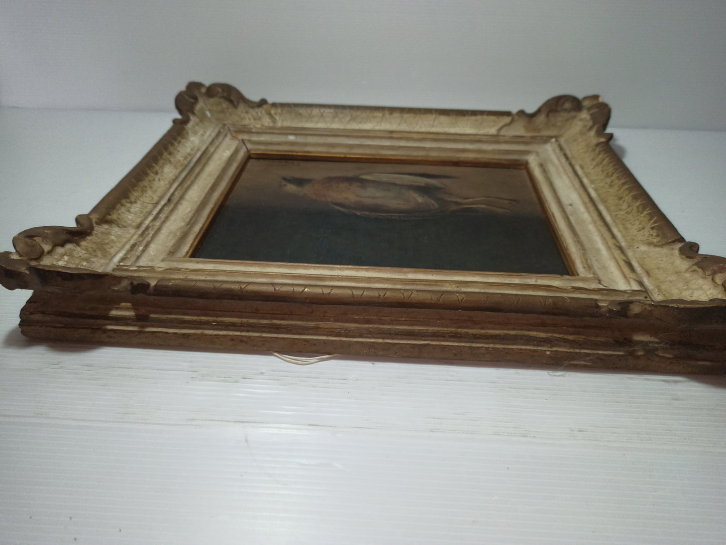 Natura Morta Francesco Vertice
Titolo opera: Quaglia
Misure quadro 36 x 31 cm circa