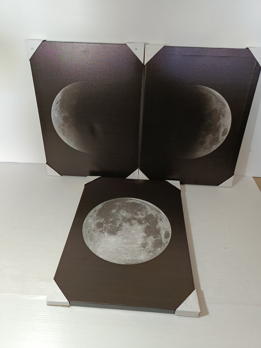 Luna 3 Stampe Su Tela Con Telaio
