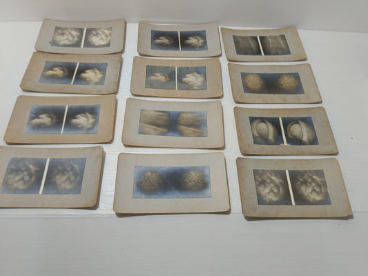 12 Antiche Fotografie Mediche R.Fusari /Zambelli
Su cartoncino