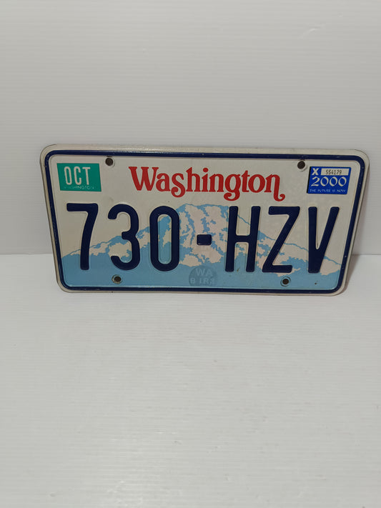 Targa Automobilistica Washington Originale In Metallo