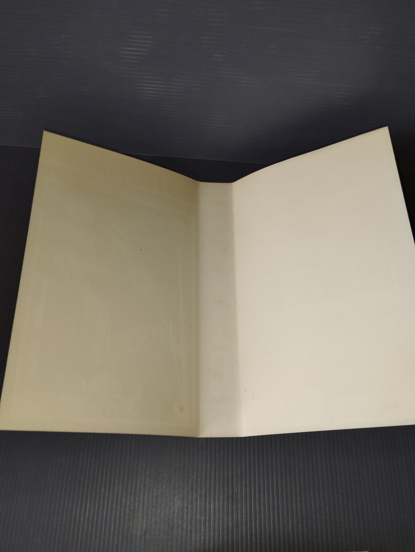 VHS The Doors live at the Hollywood Bowl