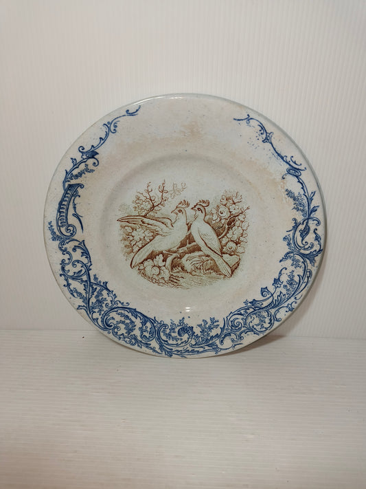 Piatto antico, LEGGI