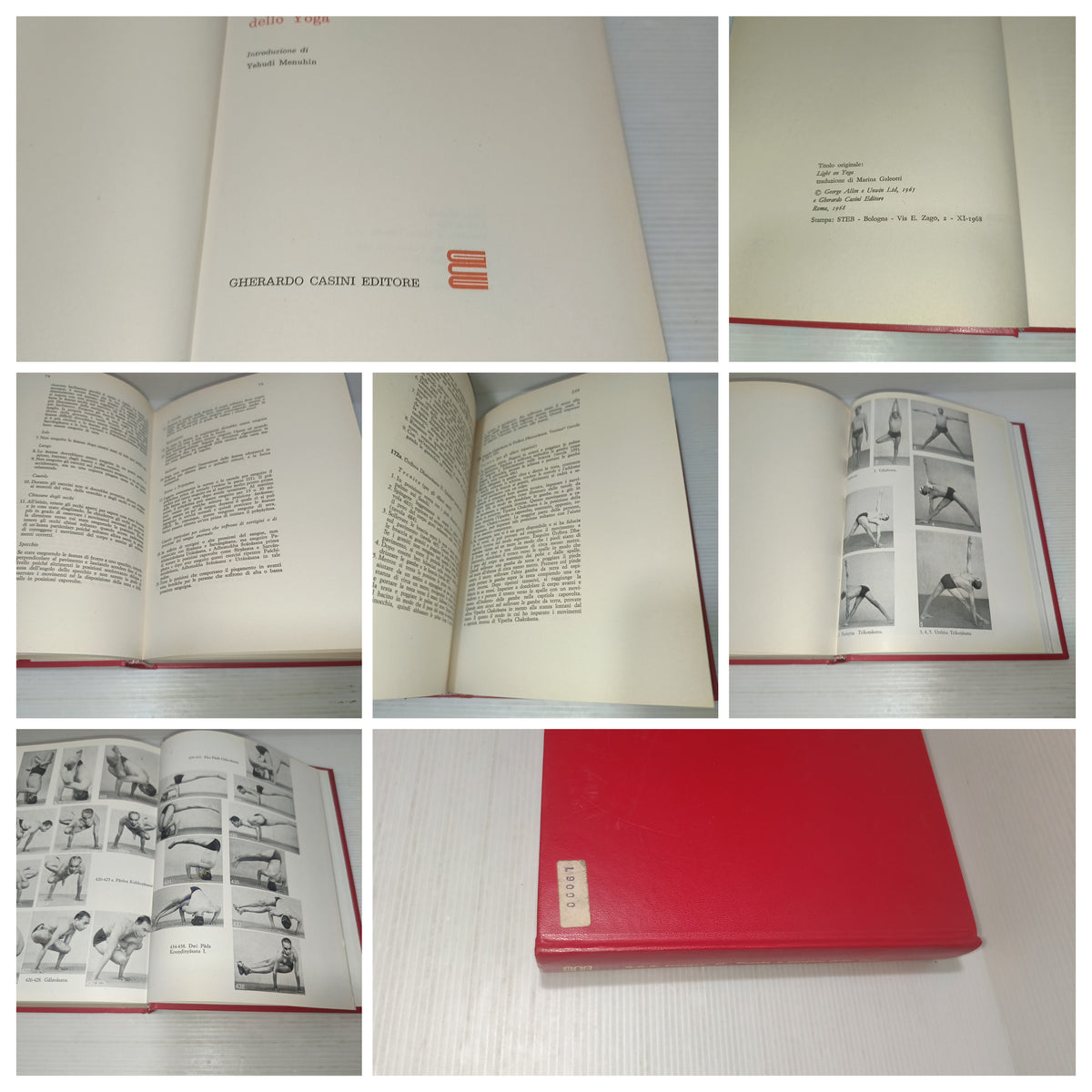 Teoria e Pratica Dello Yoga B.K.S.Iyengar
Edito nel 1968 da Gherardo Casini Editore
