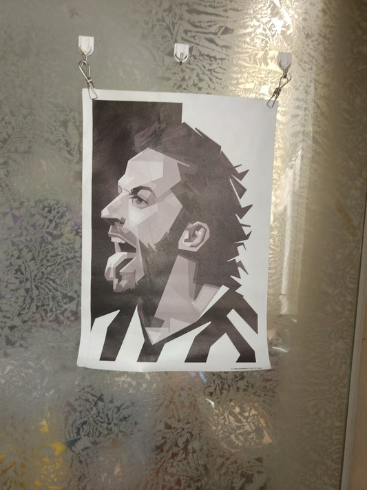 Stampa Artistica Del Piero Su Tela