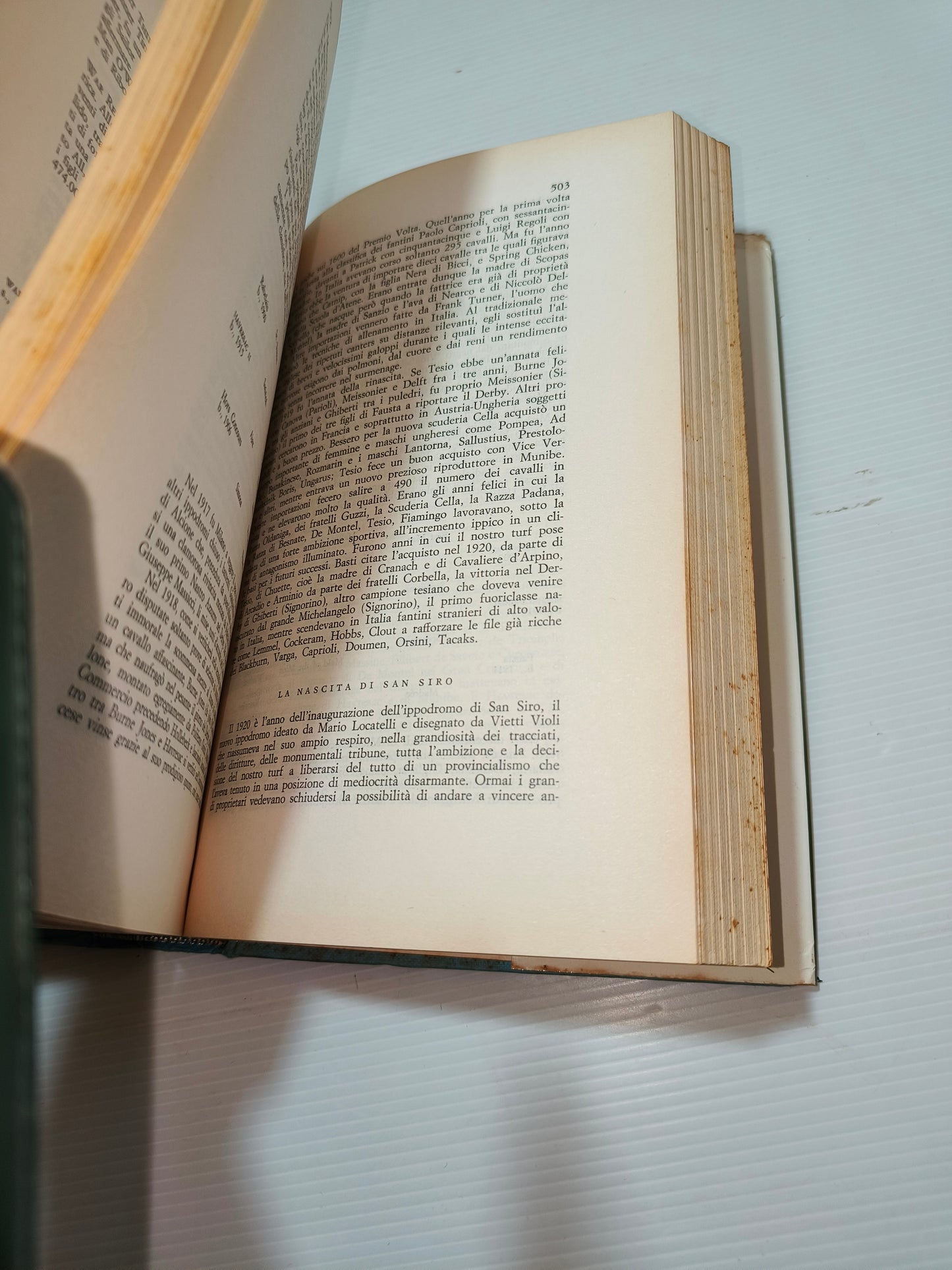 Libro Il Purosangue di L. Gianoli, 1975