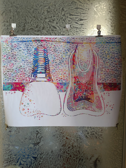 Stampa Su Tela Pop Art
Misure 50 x 70 Cm circa