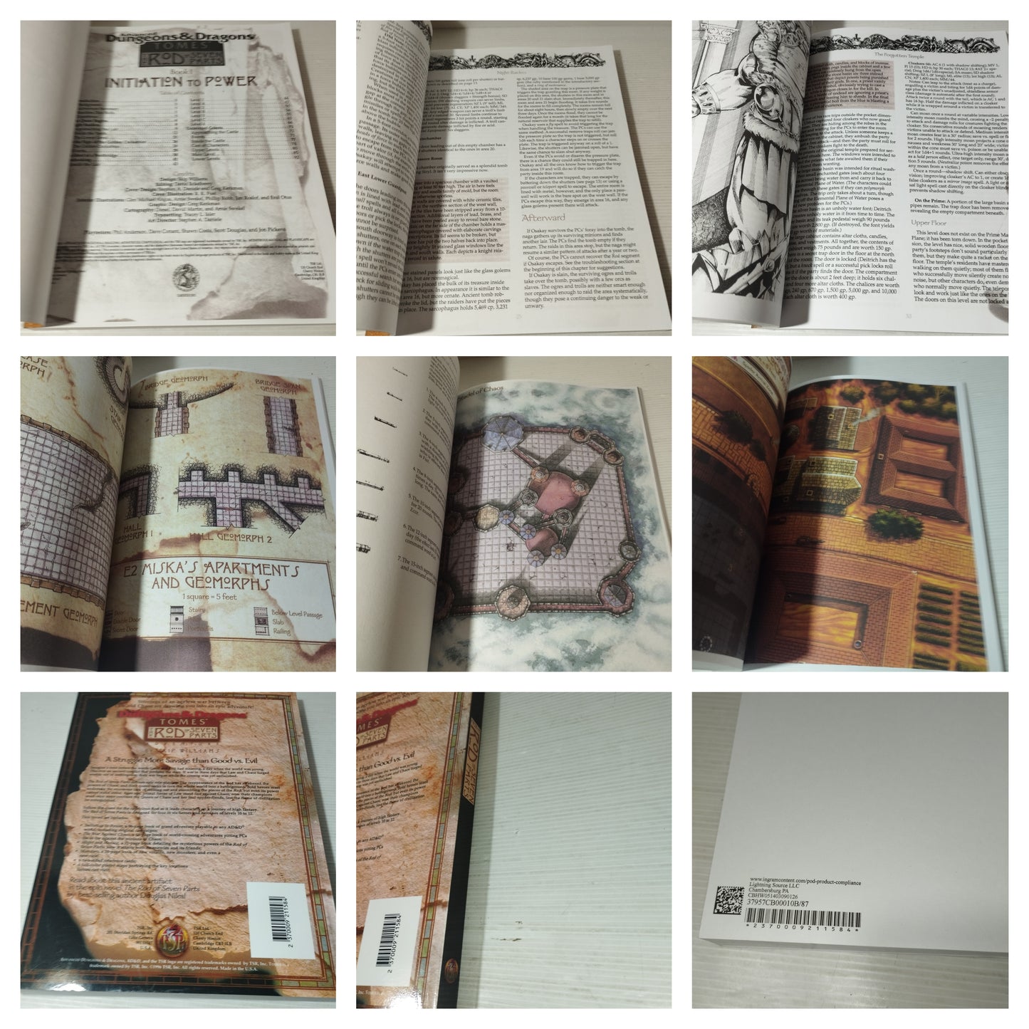 Dungeons & Dragons The Rod of Seven Parts libro