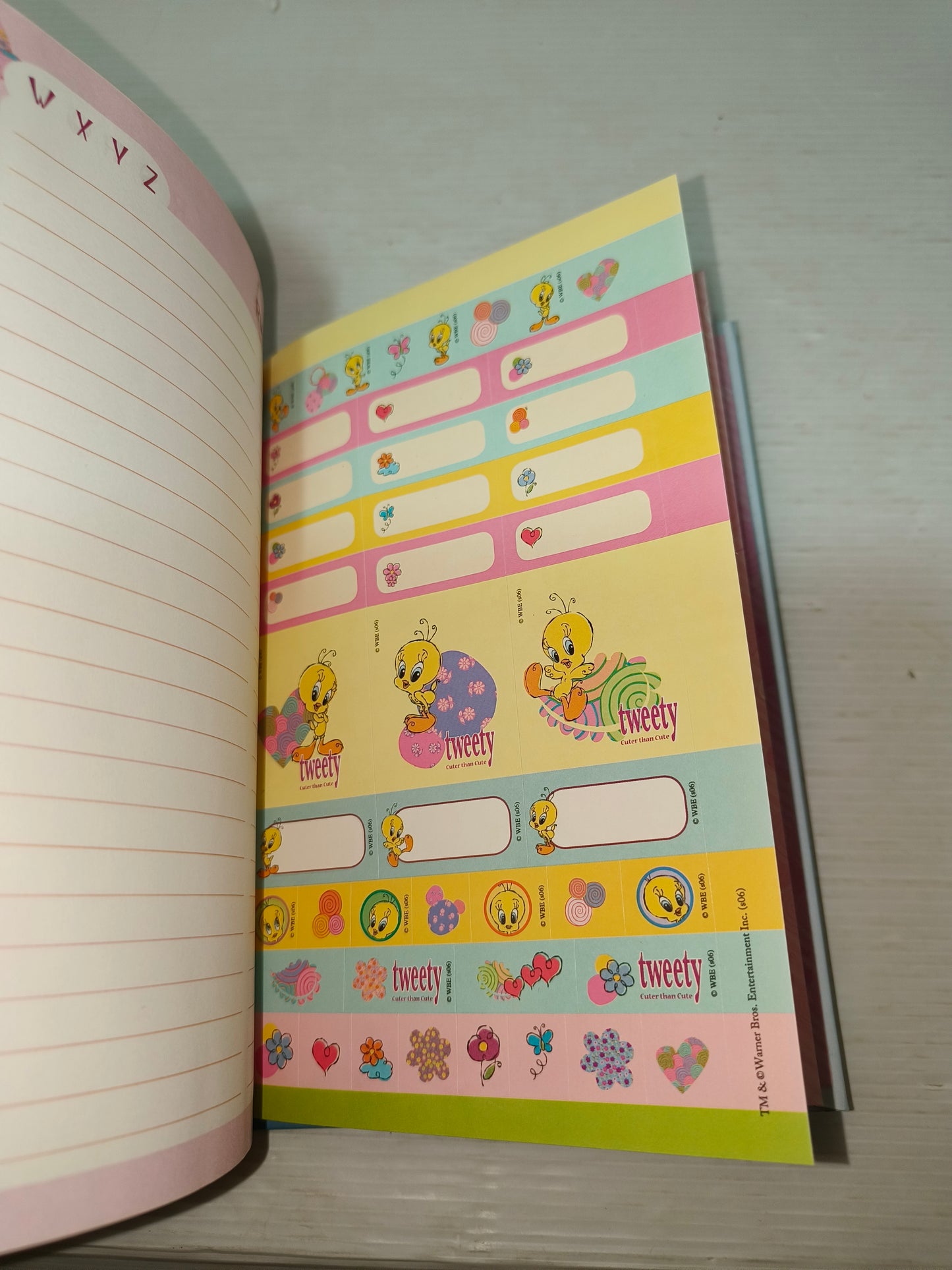 Diario Tweety vintage, LEGGI