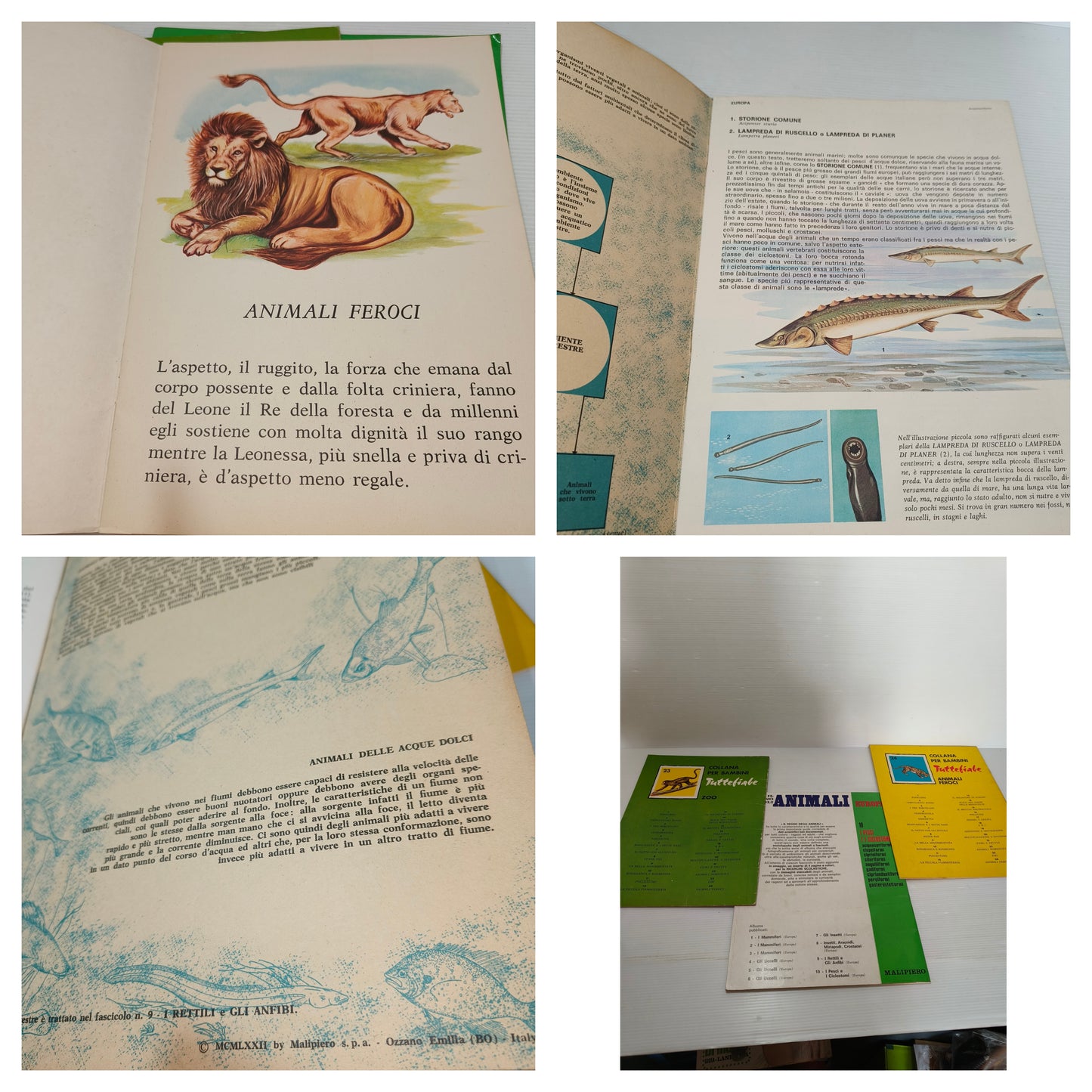 Lotto libretti animali Malipiero, anni 70