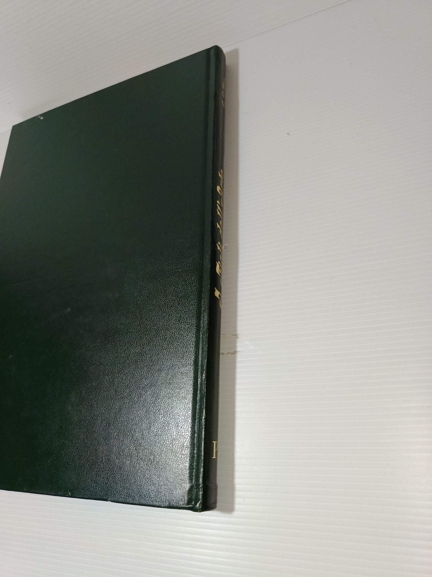 I Figli Dell'Arte Album Valsesiano 1979
Stampato nel 1980 da Edizioni Corradini