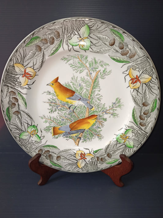 Piatto in ceramica vintage serie The Birds of America John James Audubon