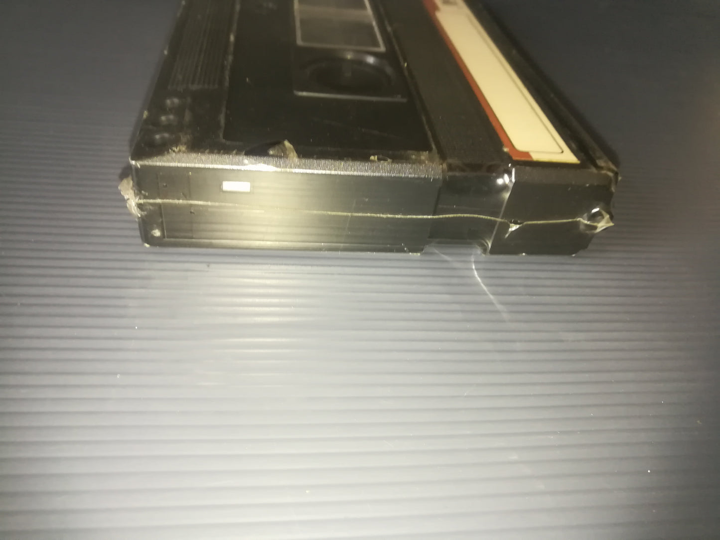 "La Fauna Alpina" Cassetta Video 2000 Cinehollywood