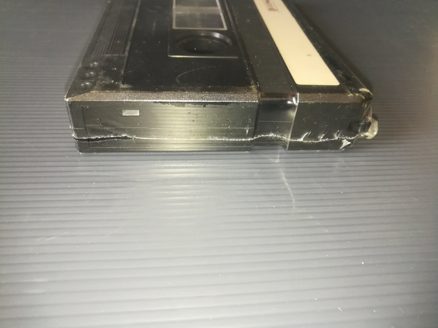 "Animal Communication" Video Cassette 2000 Cinehollywood