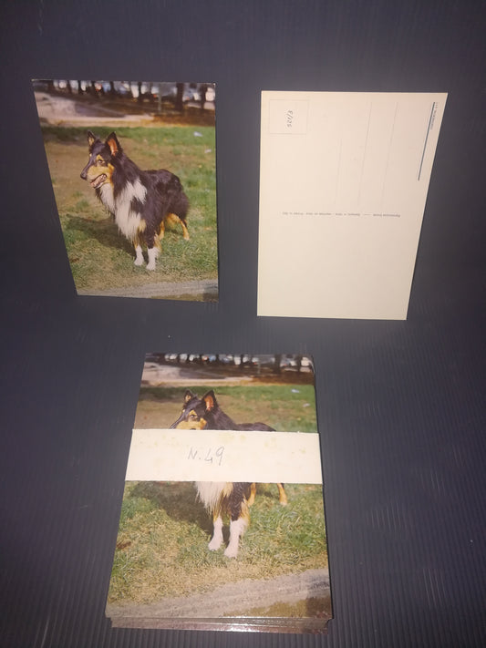 Lot of 49 postcards (all the same)
Originals from the 60s