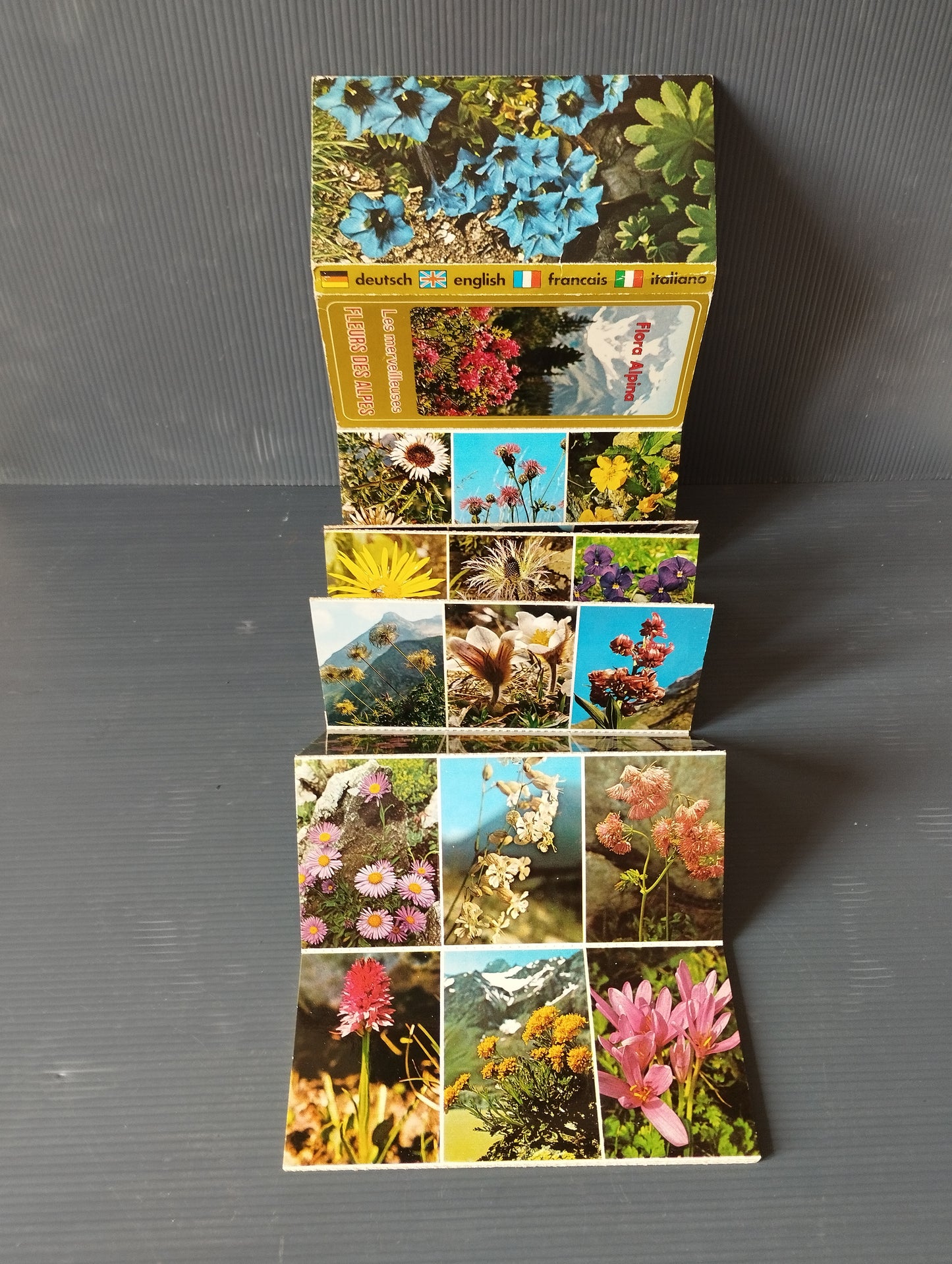 Souvenir Flora Alpina booklet
Les Merveilleuses Fleurs des Alpes