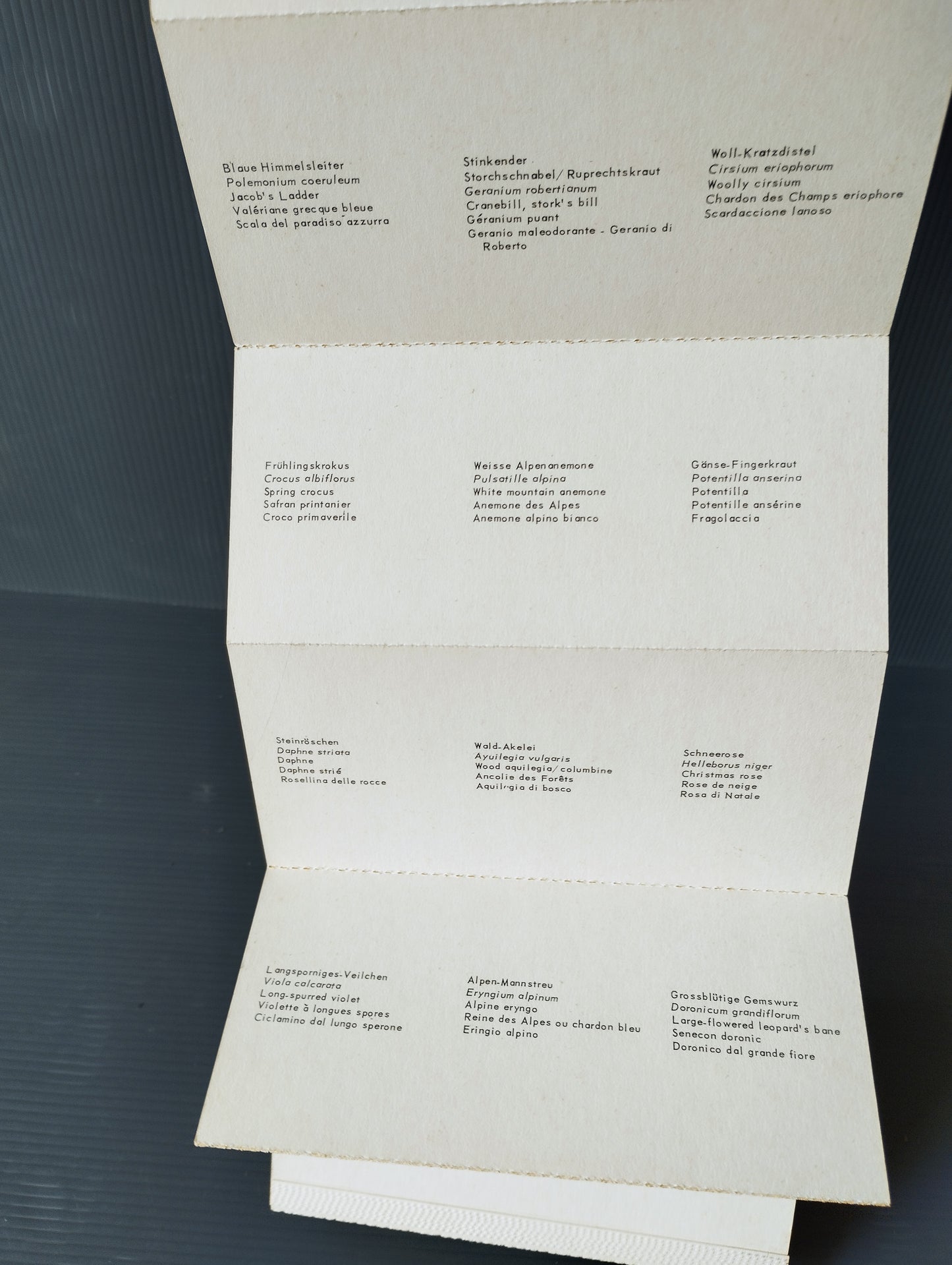 Souvenir Libretto Flora Alpina
Les Merveilleuses Fleurs des Alpes