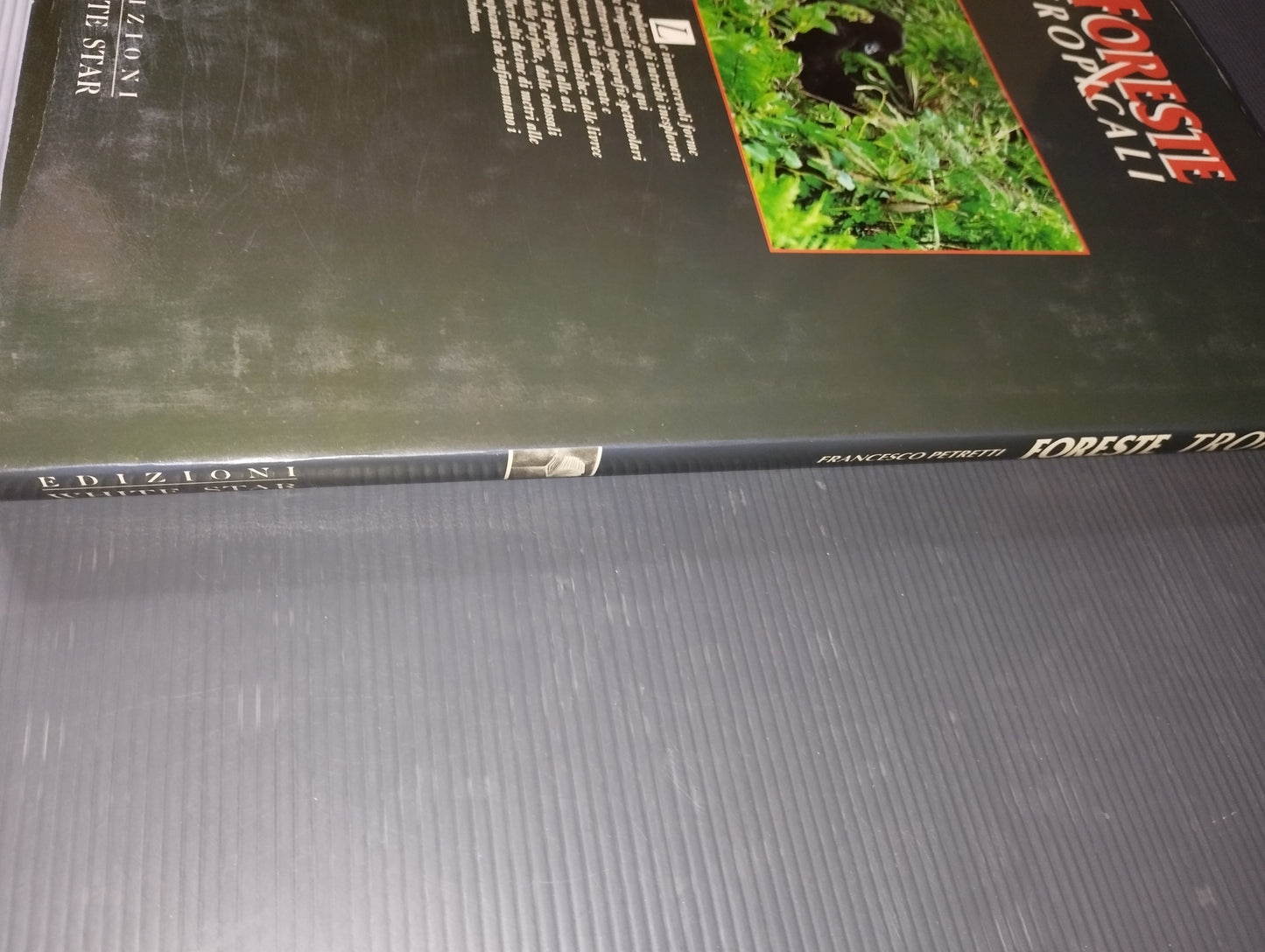 Libro "Foreste Tropicali" Francesco Petretti
Edito nel 1995 da Edizioni White Star