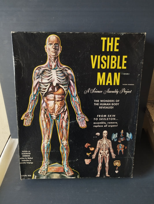 The Visibile Man"
Gioco Didattico prodotto negli anni 50 da Renwal