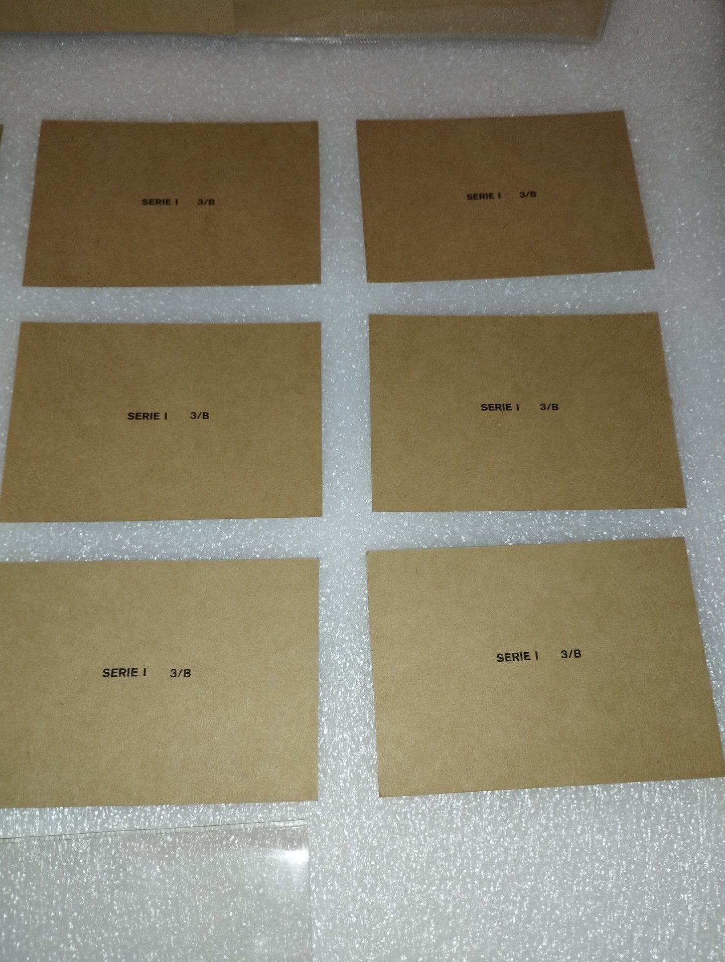 Tavola Didattica Paravia Torino