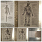4 Tavole Anatomiche Andrea Vesalio Riproduzioni