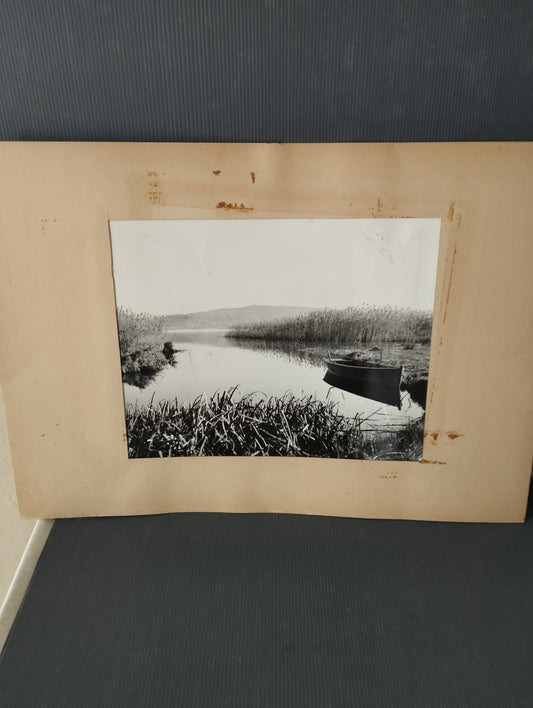 Photograph "Among the reeds" Carabelli Carlo 1950s