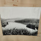 Photograph "Among the reeds" Carabelli Carlo 1950s