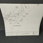 Ciga Aeronautica Militare BBQ Navigation Chart

 Scale 1:500,000