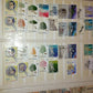 San Marino/Vatican Post stamp collection