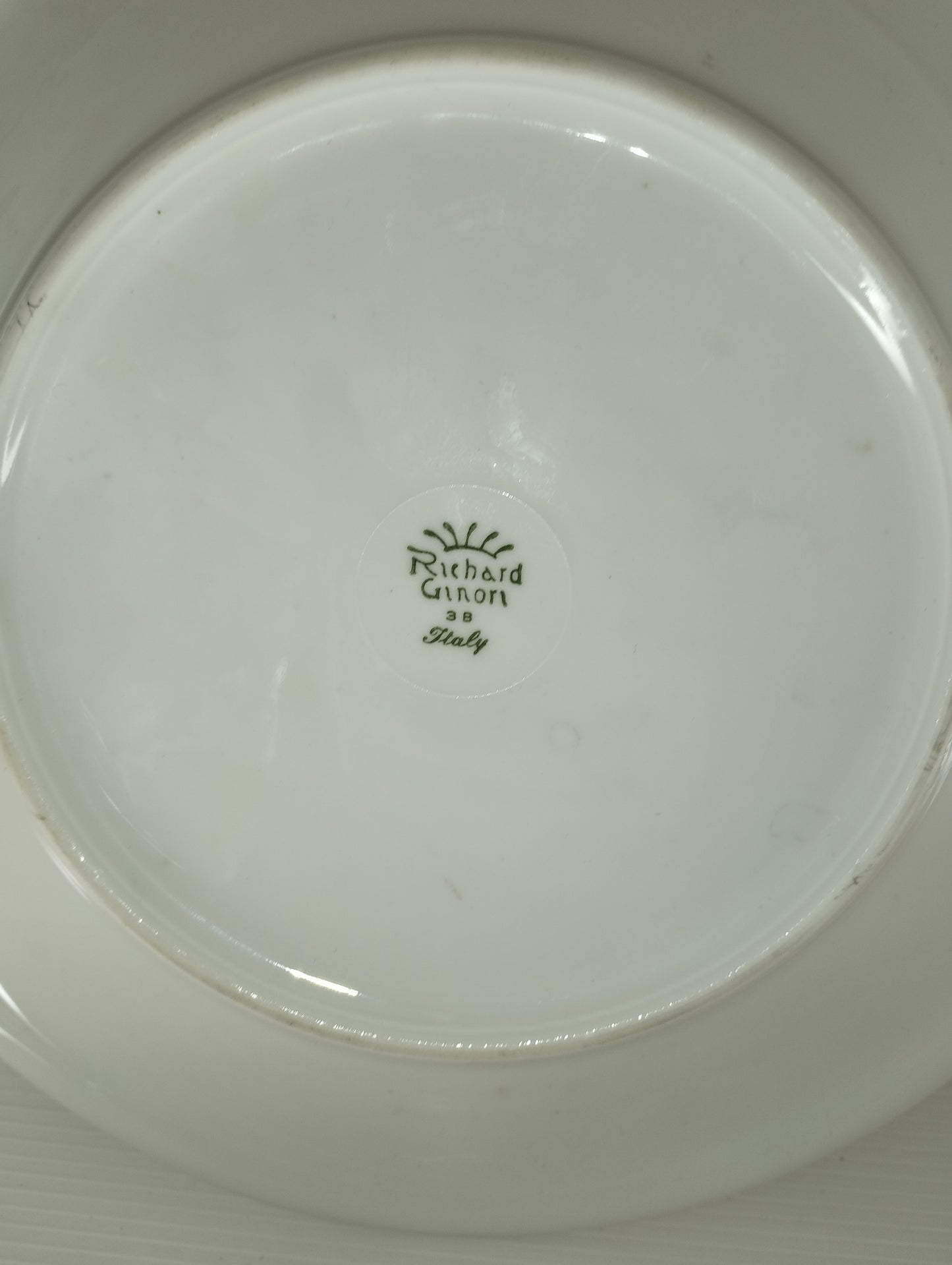 Richard Ginori Ceramic Gastronomic Clinic Plate