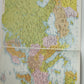 The World Geographic Atlas tribute

 Of The Savings Bank

 Published in 1972 by Vallardi