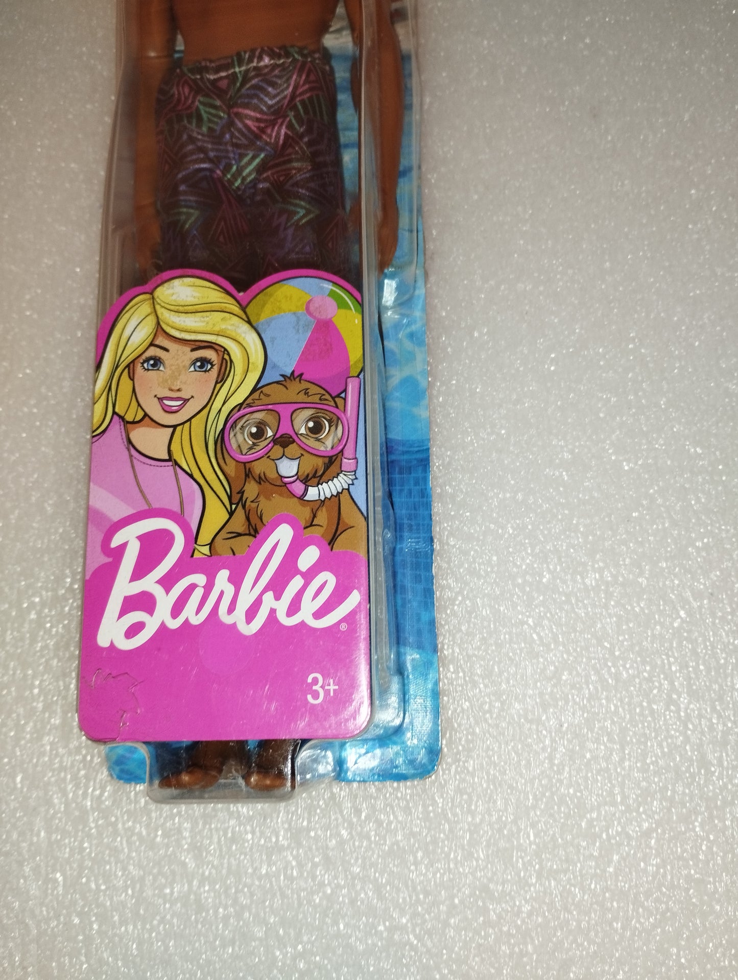 Barbie Bambola Spiaggia

Mattel