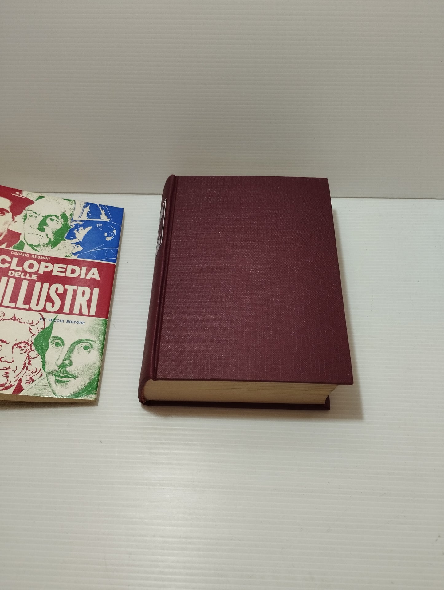 Libro Enciclopedia delle Vite Illustri
Edito nel 1965 da De Vecchi Editore