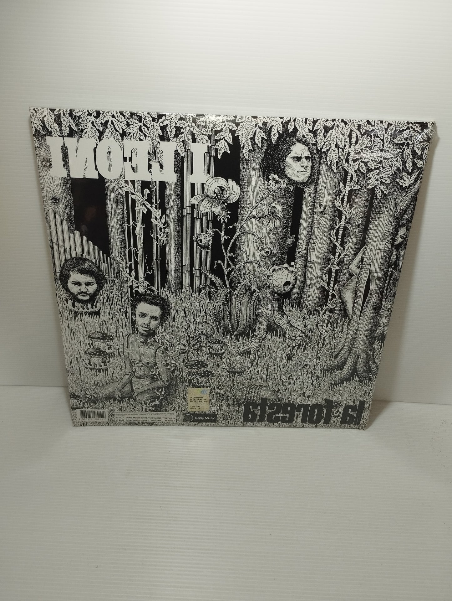 La Foresta I Leoni LP 33 Giri

Edito nel 2009 da Sony Music

Edizione numerata