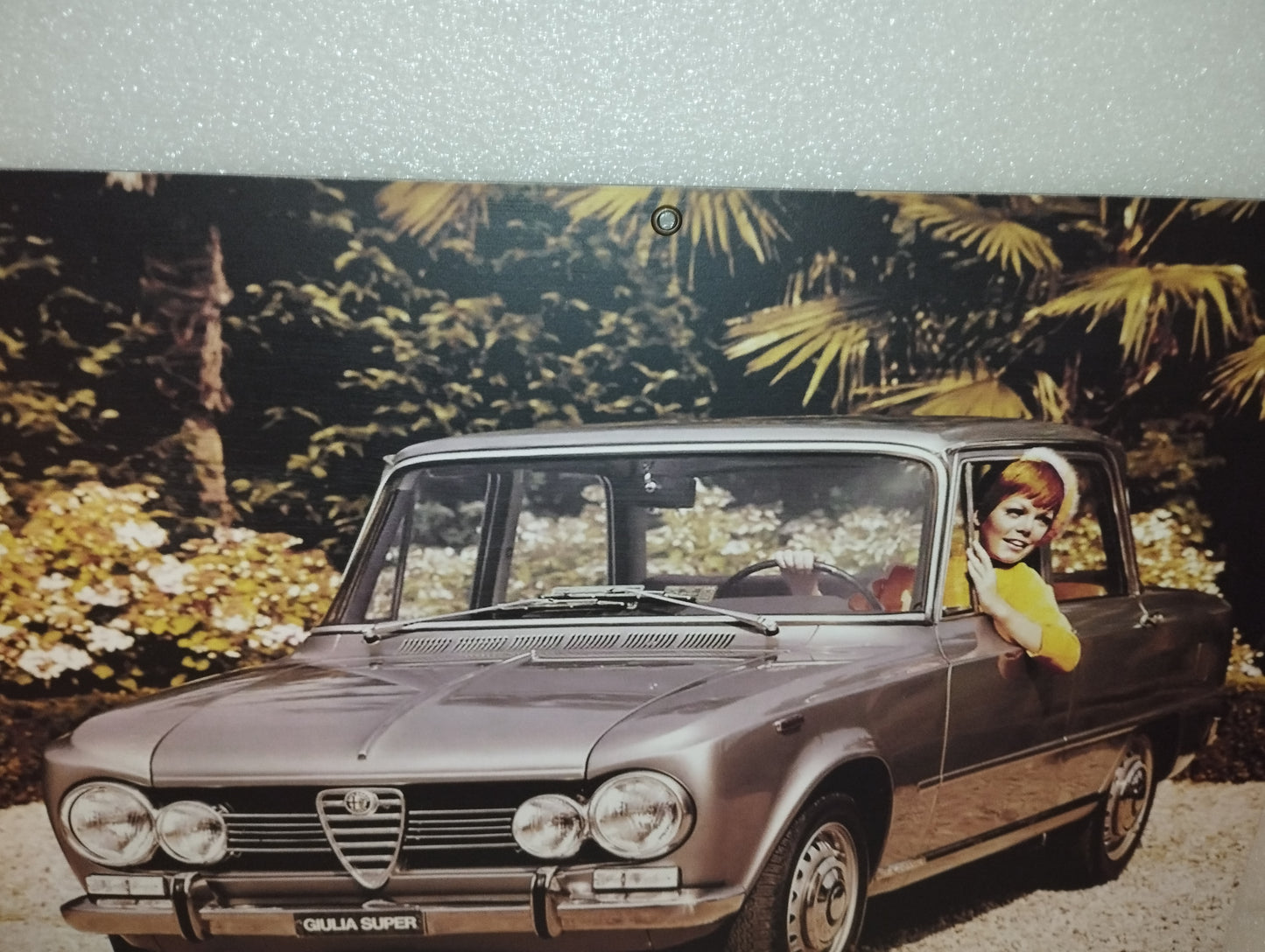 Targa Alfa Romeo Giulia Super
In Metallo