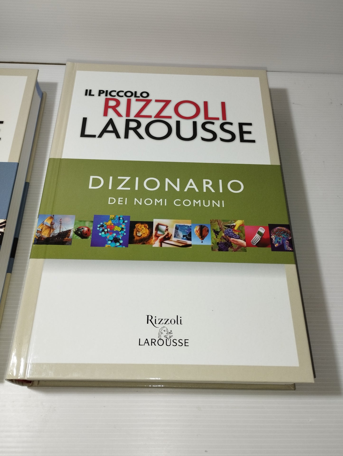 Il Piccolo Rizzoli Larousse 2Volumi +CD
Dizionario Edito nel 2005