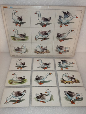 Descriptive image text