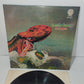 Octopus Gentle Giant LP 33 Giri
Edito nel 1972 da Vertigo  Cod.6360 080 A
Prima stampa italiana