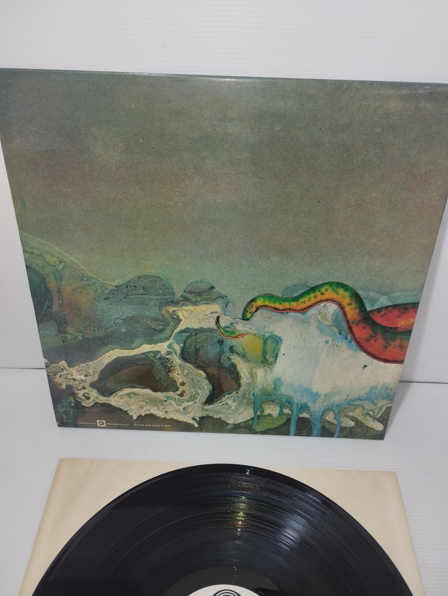 Octopus Gentle Giant LP 33 Giri
Edito nel 1972 da Vertigo  Cod.6360 080 A
Prima stampa italiana