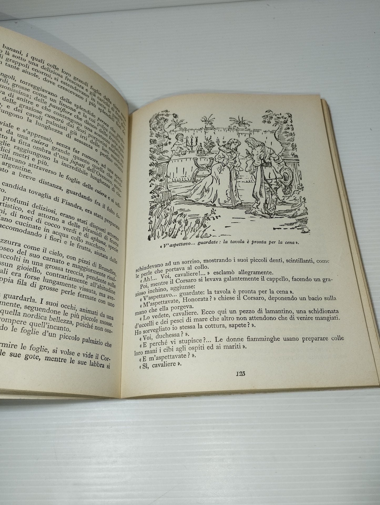 Emilio Salgari Lotto 6 Romanzi

Editi da A.Vallardi Editore negli Anni 50