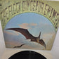 Dinosaur Swamps The Flock LP 33 Giri
Edito nel 1970 da  CBS Cod 64055